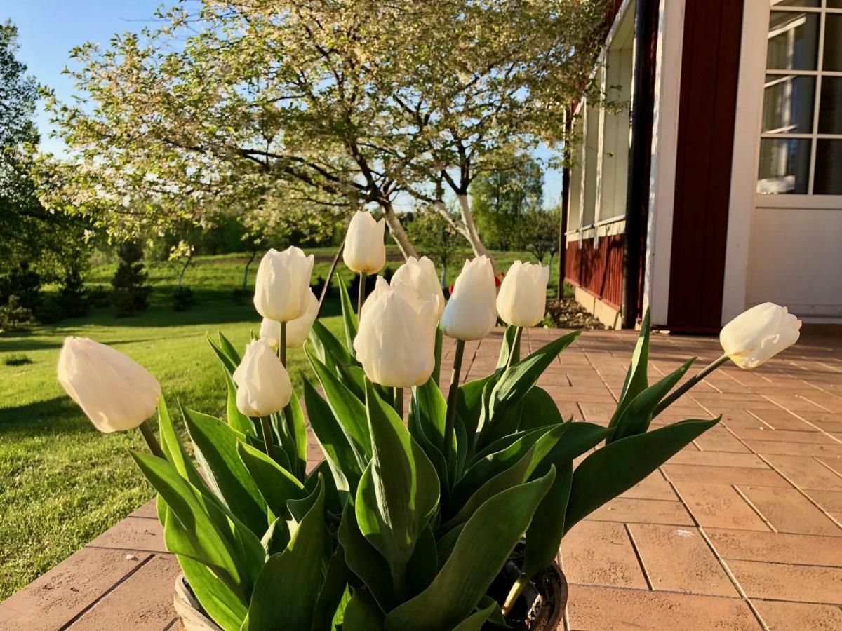 Villa Sofia Boutique Trakai Buitenkant foto